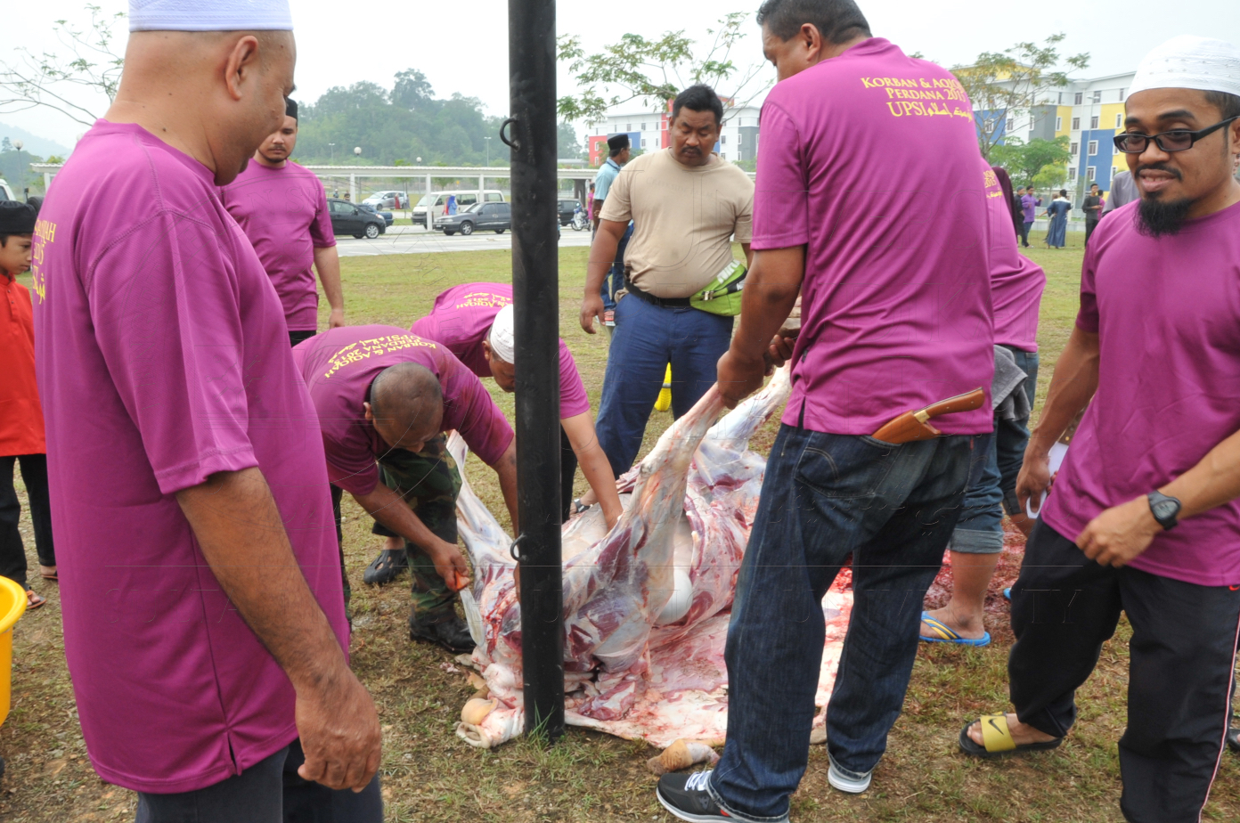 PRO15 150 KORBAN HAS 6816